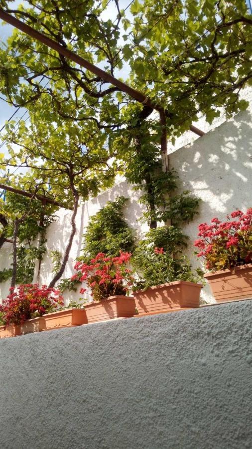 Ferienwohnung Milojka Senj  Exterior foto